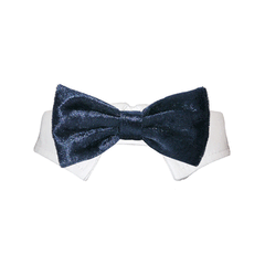 Valentino Bow Tie - Navy Blue