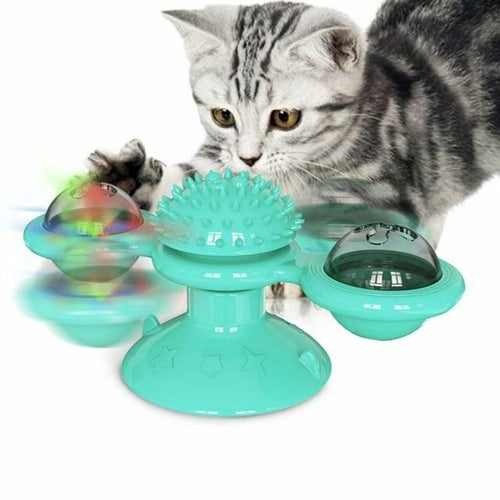 Cats Whirling LED Balls